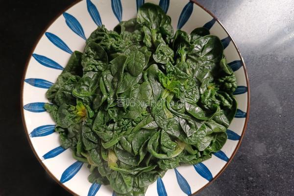 凉拌菠菜的做法图解5