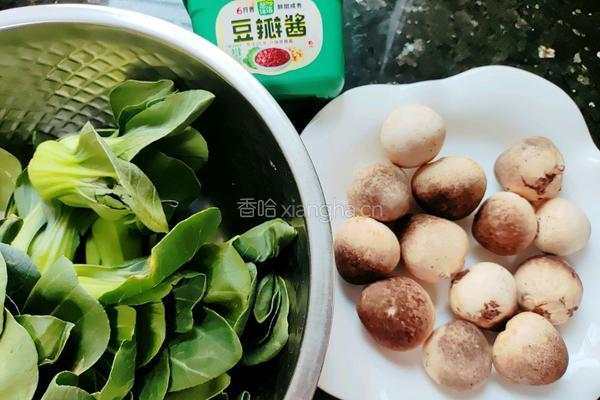 花开富贵之酱香草菇的做法图解1