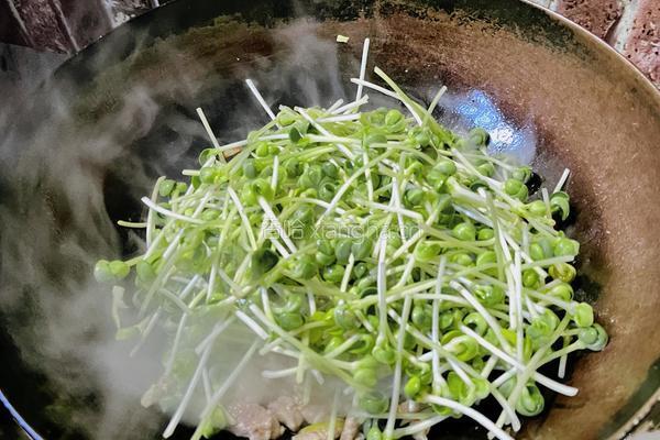 【春季“养肝”】豆苗炒肉的做法图解5
