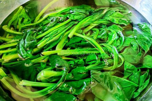 麻酱菠菜的做法图解3