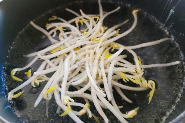 春天里的一碗米线的做法图解2