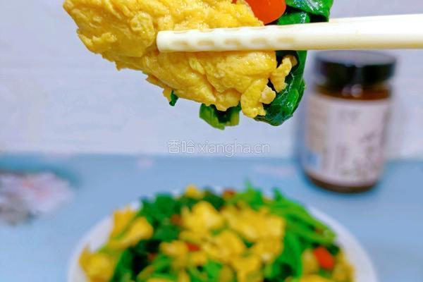 酱焖菠菜的做法图解18