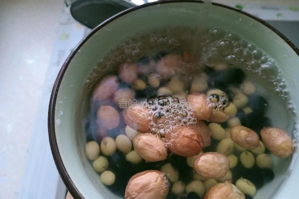 黑豆花生浓豆浆的做法图解2