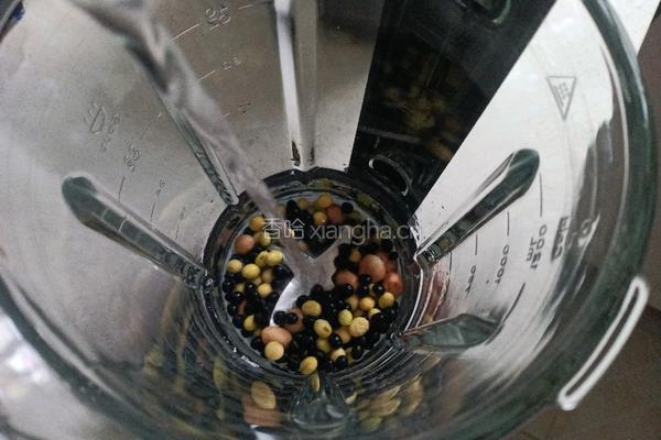 黑豆花生浓豆浆的做法图解3