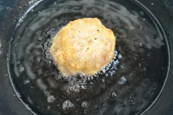 鸡蛋黑豆腐饼＜干炸版和糖醋版＞的做法图解13