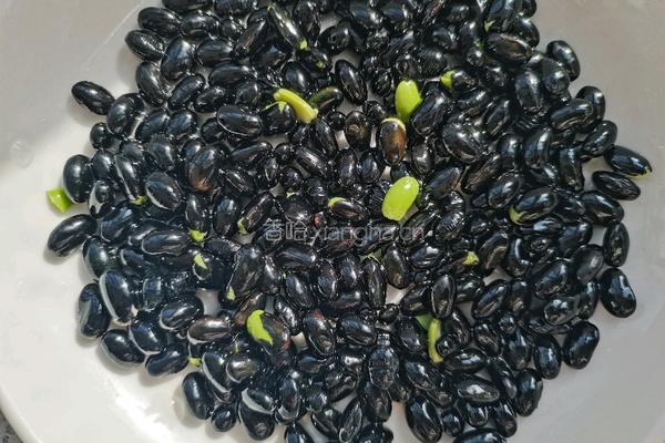 醋泡黑豆的做法图解5