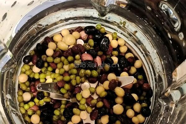 香畴黑豆五谷杂粮豆浆的做法图解3