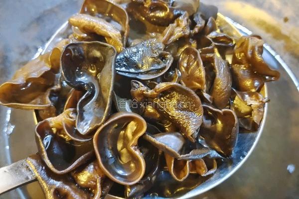 香畴美汁酱油凉拌菜的做法图解4