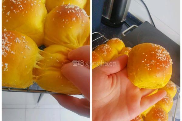 南瓜小餐包的做法图解16