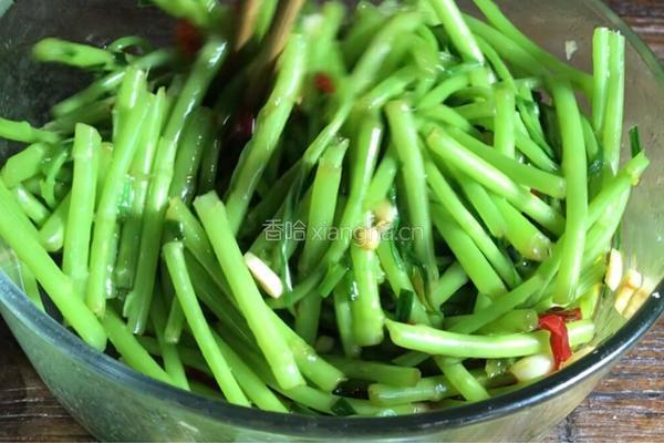 凉拌藜蒿的做法图解8