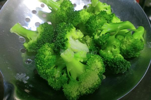 早餐清汤面的做法图解7
