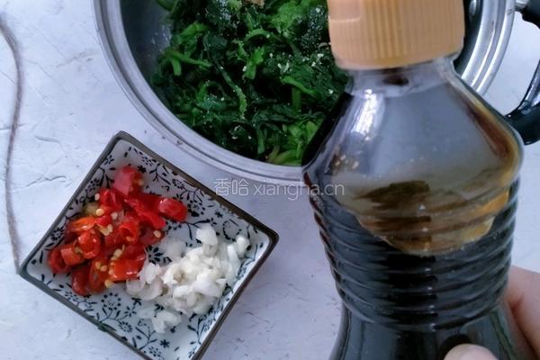 凉拌菠菜的做法图解4