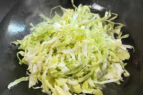 素炒莲花白的做法图解4