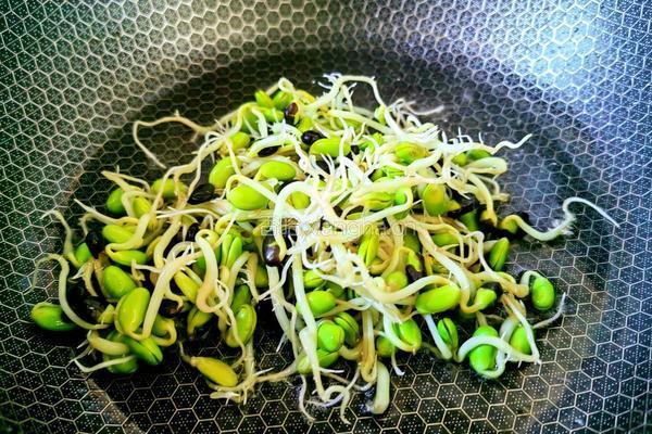黑豆芽炒豆干的做法图解4
