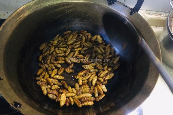 干煸蚕蛹的做法图解5