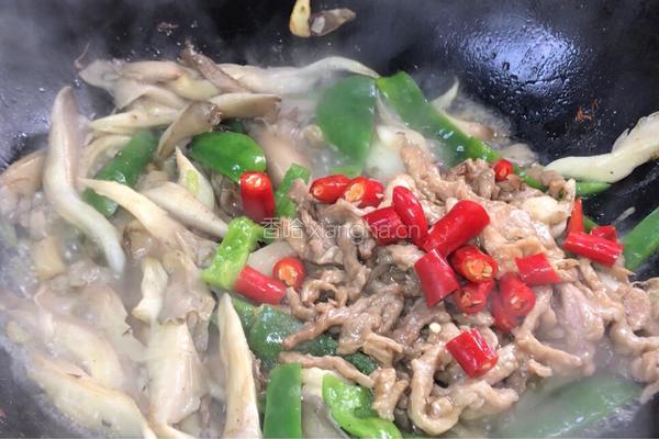 青椒炒平菇的做法图解8