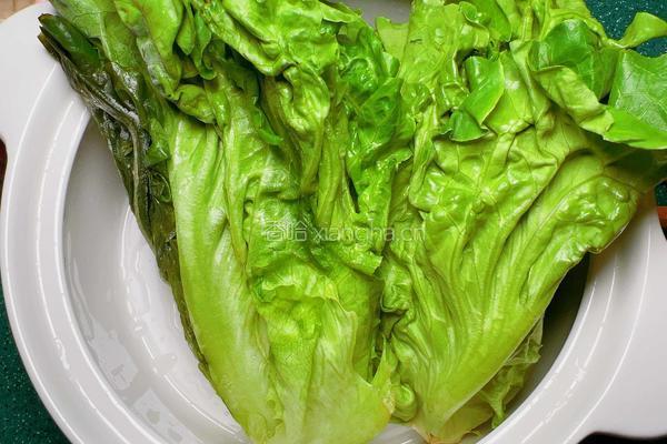 蚝油小生菜的做法图解2