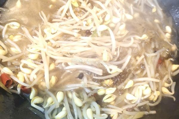 豆芽粉丝贴喝饼的做法图解12