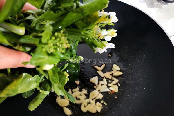黄豆酱炒芥兰苗的做法图解3