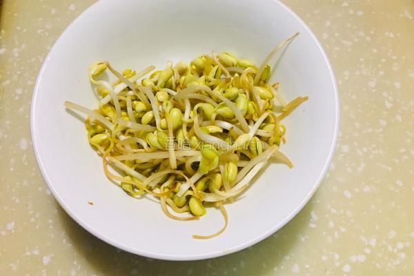 黄豆芽炒韭菜的做法图解2