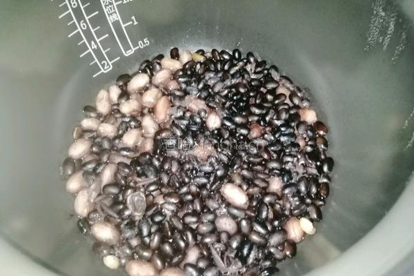 盐水花生黑豆的做法图解7