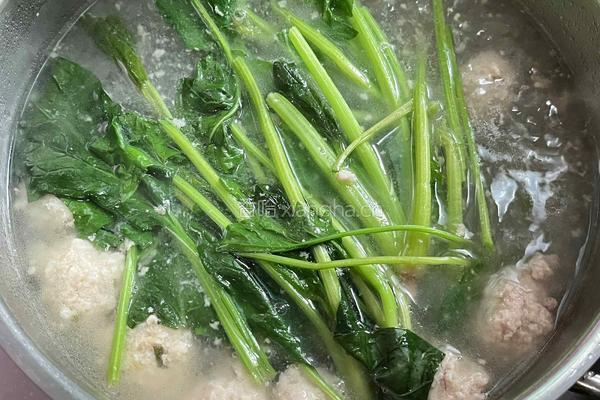 菠菜猪肉丸子汤的做法图解4
