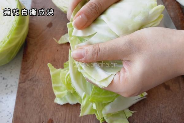 手撕莲花白的做法图解1
