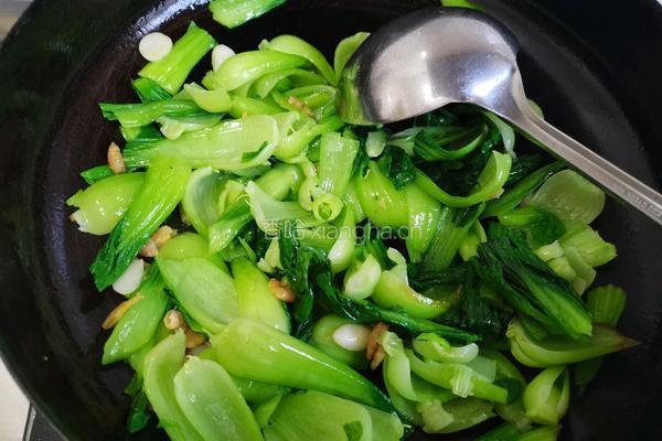 海米烧油菜的做法图解12