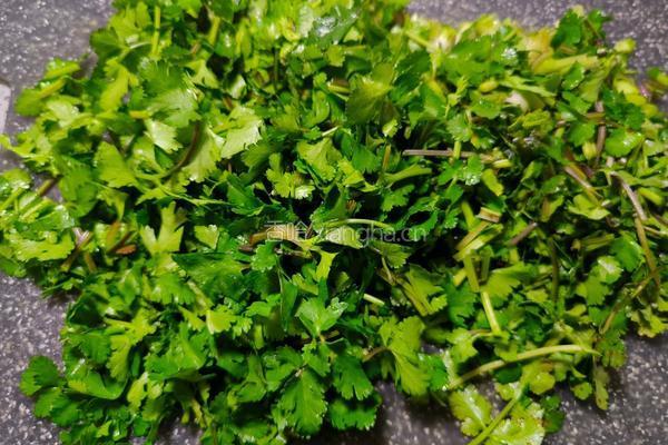 香菜肉饼的做法图解7