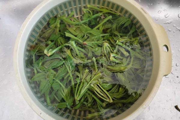 香椿芽鸡蛋饼的做法图解4