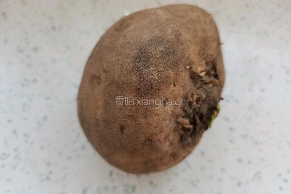 津味素蒸饺的做法图解6