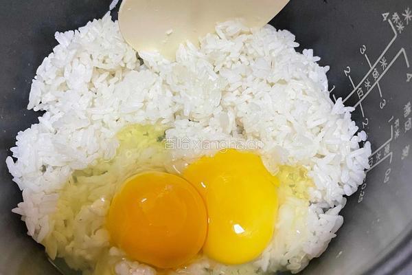 包菜蛋炒饭的做法图解2
