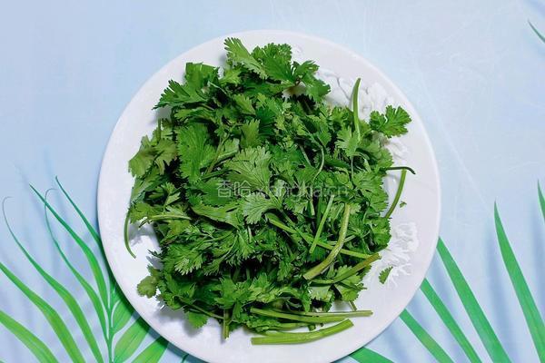 老虎菜的做法图解3
