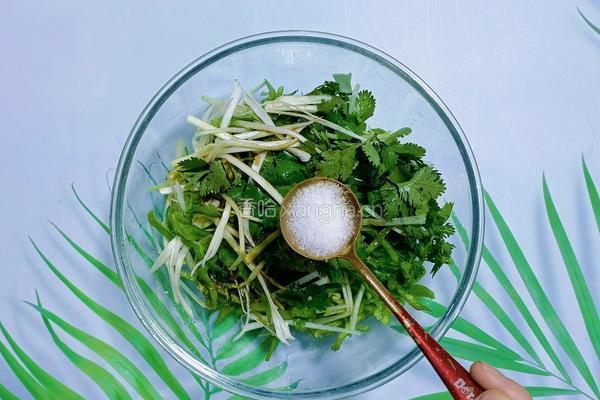 老虎菜的做法图解8