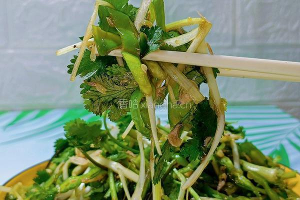 老虎菜的做法图解12