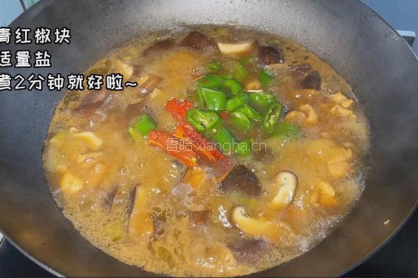 香菇焖鸡的做法图解5