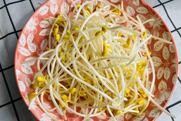 豆芽菜炒鸭肉的做法图解2