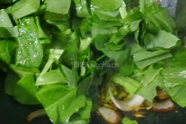 炒凉皮的做法图解8