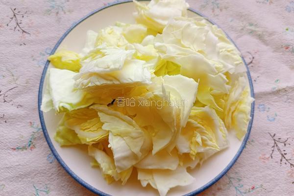 酱炒手撕包菜的做法图解2