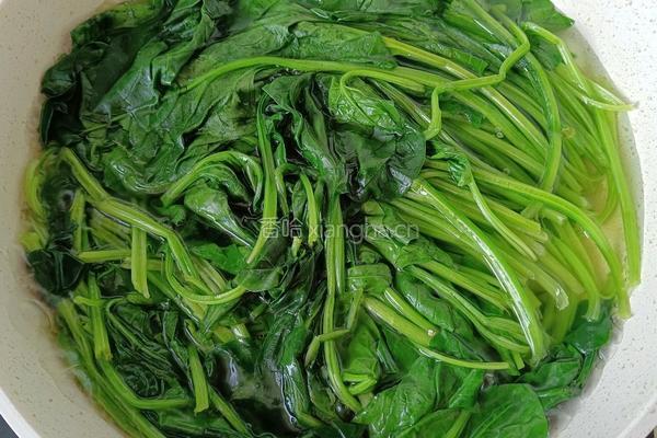 橄榄油酱汁菠菜的做法图解4