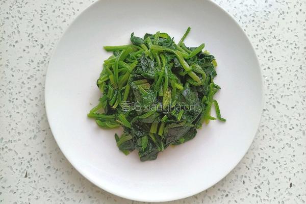 橄榄油酱汁菠菜的做法图解9