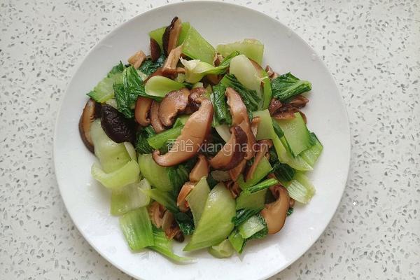 橄榄油香菇油菜的做法图解10