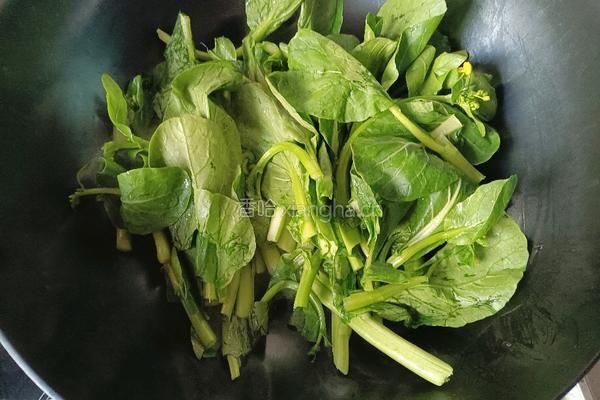 橄榄油炒菜芯的做法图解7