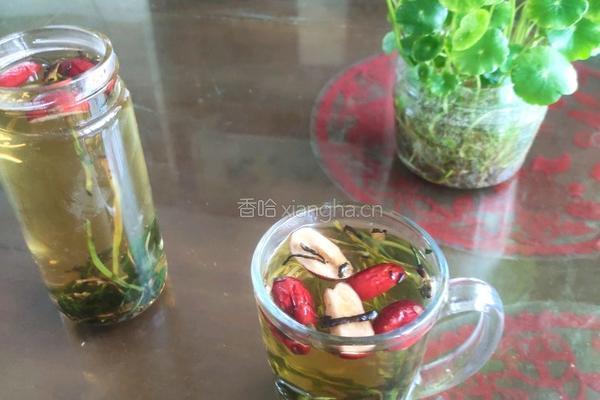 蒲公英茶的做法图解8