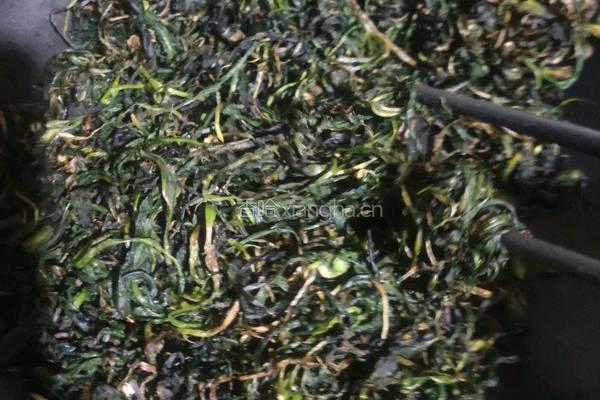 蒲公英茶的做法图解5