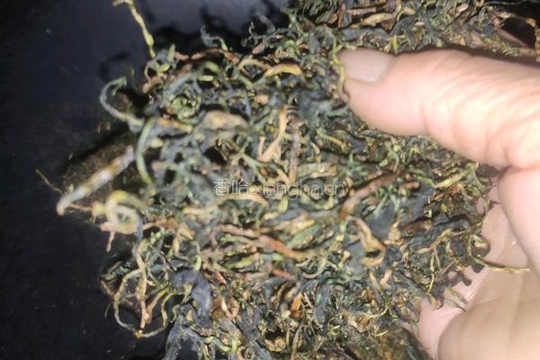 蒲公英茶的做法图解6