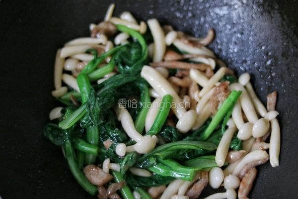 白玉菇炒肉的做法图解8
