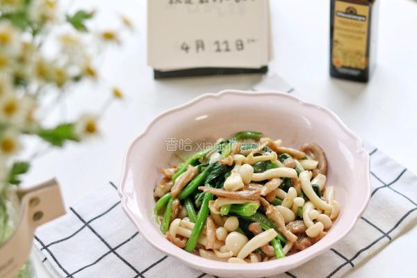 白玉菇炒肉的做法图解9