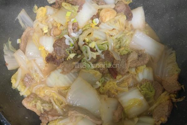 家常版白菜炖五花肉的做法图解9
