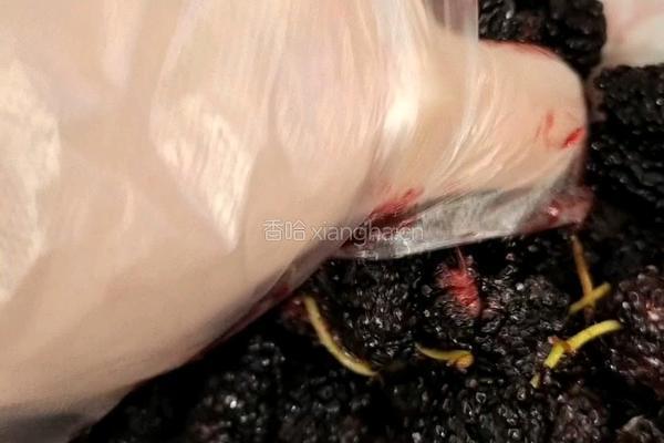 桑椹馒头的做法图解1